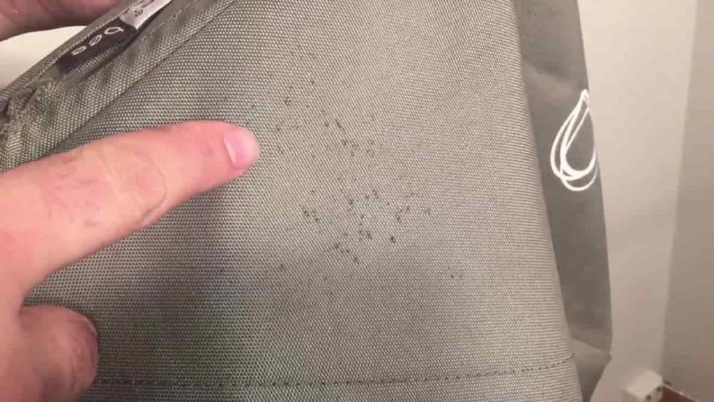 Clean Stroller With Mold