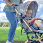 3 Year Old in Stroller