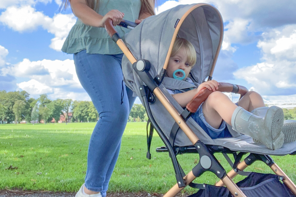 3 Year Old in Stroller