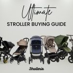 Stroller Buying Guide